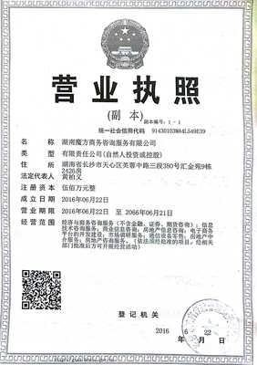 湖南魔方商務咨詢服務 專業(yè)銷售與技術(shù)咨詢的完美融合