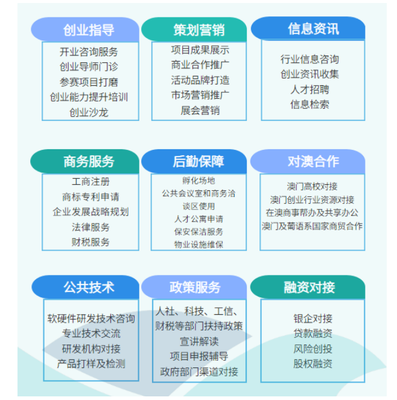 就業(yè)新航向 銷售與技術服務咨詢的雙軌并行